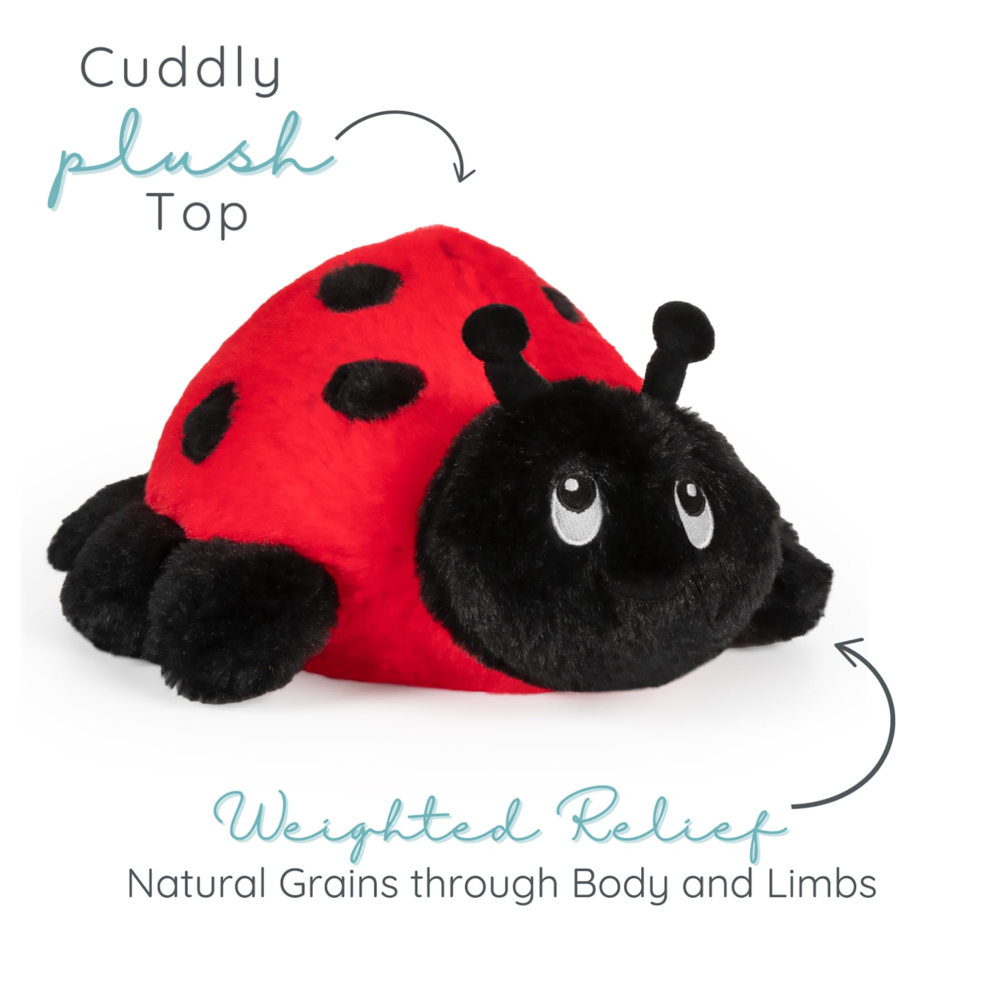 新品タグ付き！Heve ヘイヴ　LADYBUG 新品タグ付き！Heve ヘイヴ LADYBUG Heve ヘイヴ LADYBUG